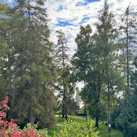 3 Am Rehgehege Apartment Uberlingen